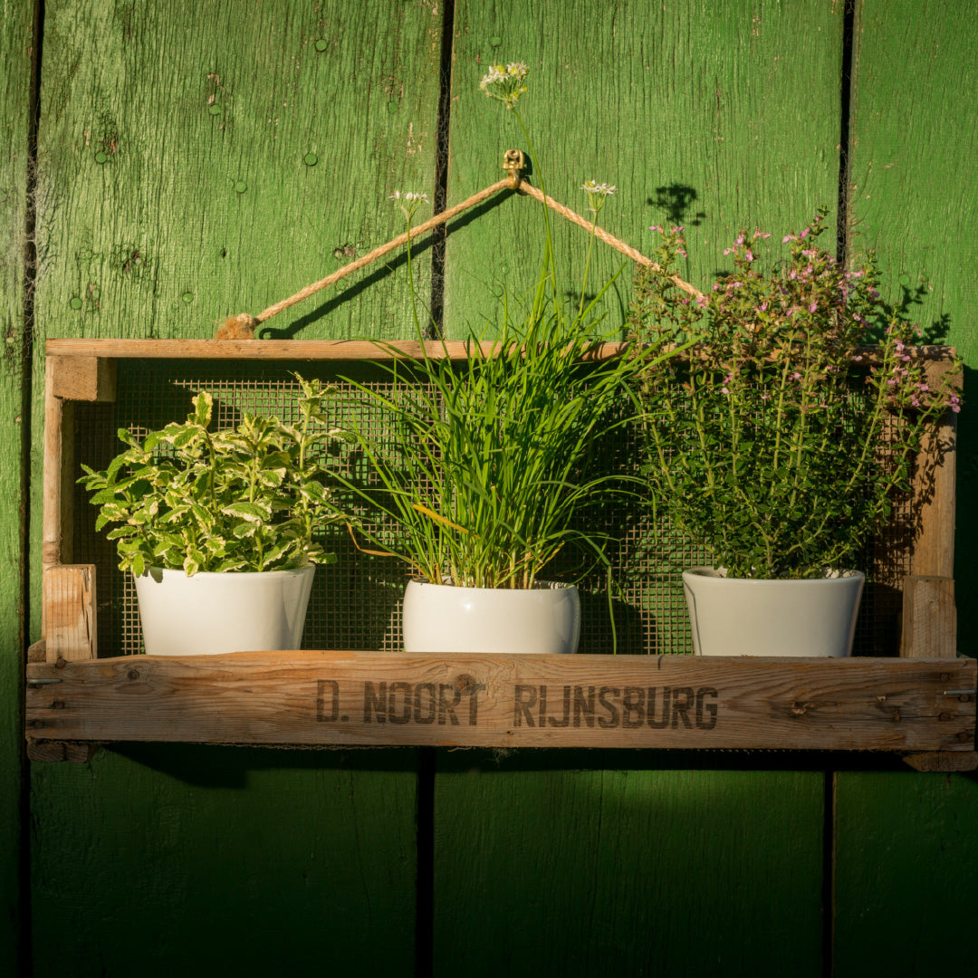Rustikales Gartenregal aus altem Zwiebelsieb