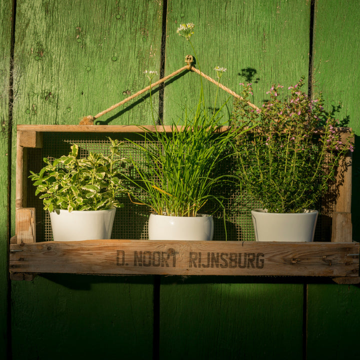 Gartenregal aus einem Zwiebelsieb