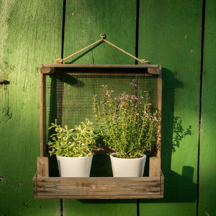 Vintage Gartenregal aus Zwiebelsieben