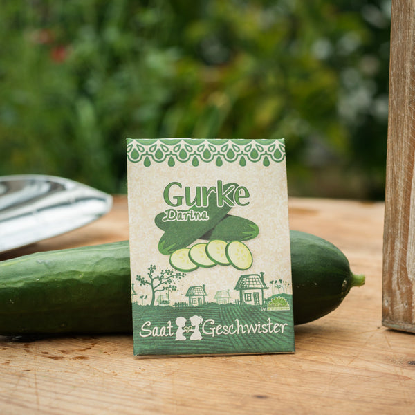 Saattüte für Gurken auf einem Holztisch mit einer Gurke im Hintergrund.