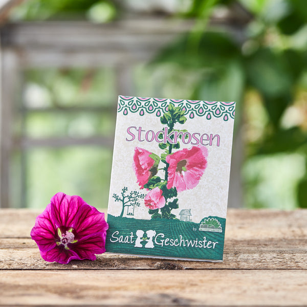 Blumen-Samentütchen mit Aufschrift "Stockrosen" und einer einzelnen Stockrosenblüte davor auf Holzuntergrund.