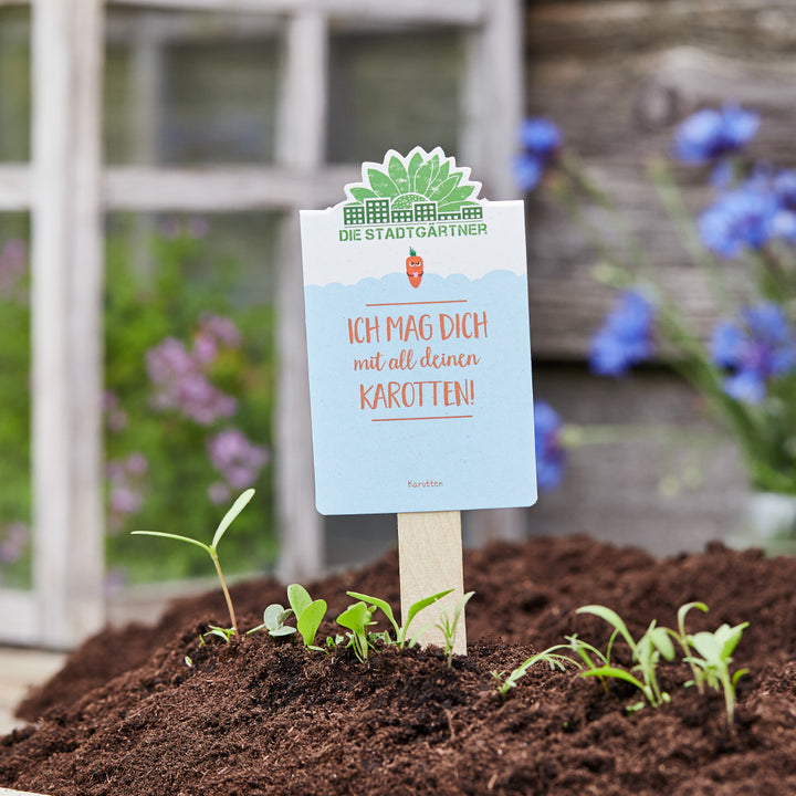 Pflanzschild mit der Aufschrift "Ich mag dich mit all deinen Karotten!" in einem Gartenbeet.