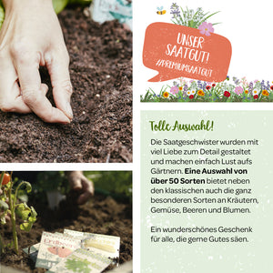 Alt-Text: Eine Hand pflanzt Samen in die Erde, Werbegrafiken für Saatgut mit Texten über die Auswahl und Qualität sowie Packungen von Erdbeersamen im Vordergrund.