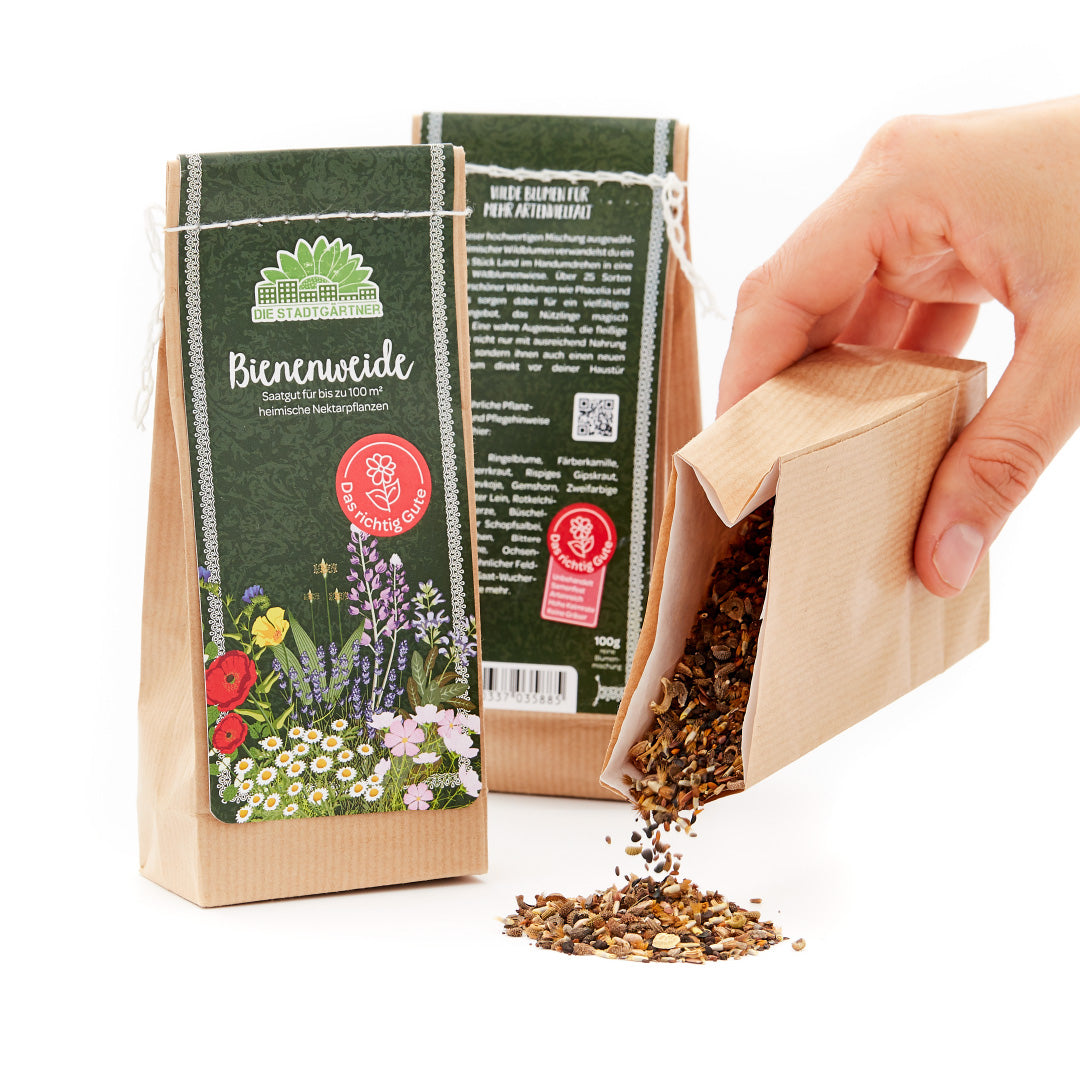 Bienenweide Saatgut