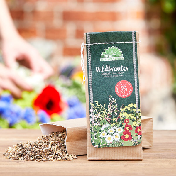 Saatgut -  Großverpackung  - 100g Wildkräuter