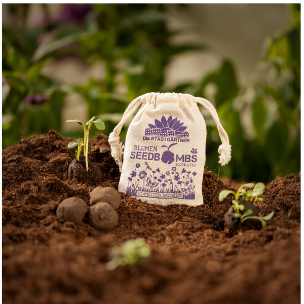 Jungpflanze wächst neben einem Stoffsack mit Aufschrift "Blumen Seedbombs", umgeben von Erde und Saatkugeln.