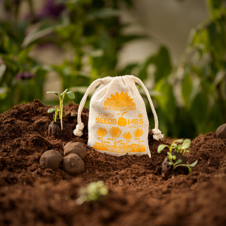 Stoffbeutel mit Aufschrift 'Die Stadtgärtner Blumenseedbombs' neben keimenden Pflanzen auf fruchtbarem Boden.