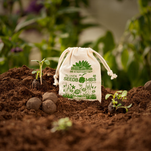 "Sämlinge und Seedbombs in einem Jutebeutel auf fruchtbarer Erde, Konzept für Gartenarbeit und Umweltschutz"