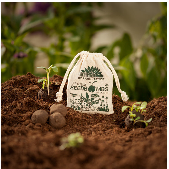Ein Säckchen mit der Aufschrift 'Seedbombs' neben keimenden Pflanzen und Samenbällen auf fruchtbarer Erde mit unscharfen Pflanzen im Hintergrund"