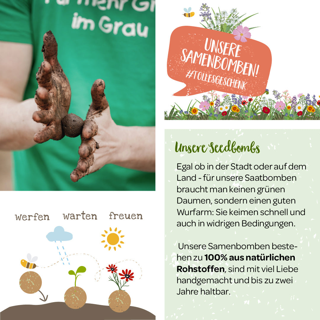 Person hält erdige Saatbomben über einem Flyer für Saatbomben mit Anweisungen und Vorteilen.