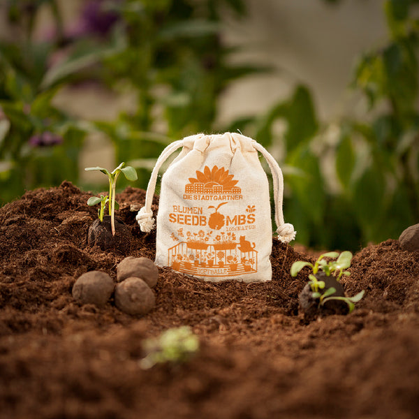 Ein Säckchen mit der Aufschrift "Blumen Seedbombs" steht auf fruchtbarem Boden neben Keimlingen und Seedbomb-Kugeln.