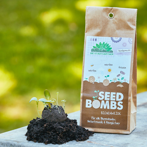 Verpackung mit "Seed Bombs" neben einem Erdhaufen mit jungen Pflanzensprossen, Konzept für nachhaltiges Gärtnern.