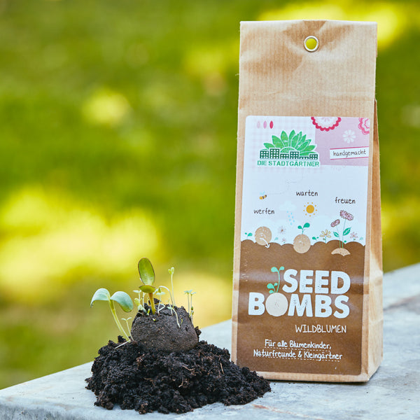  Packung mit "Seed Bombs" neben einer aufkeimenden Pflanze und Erdboden.