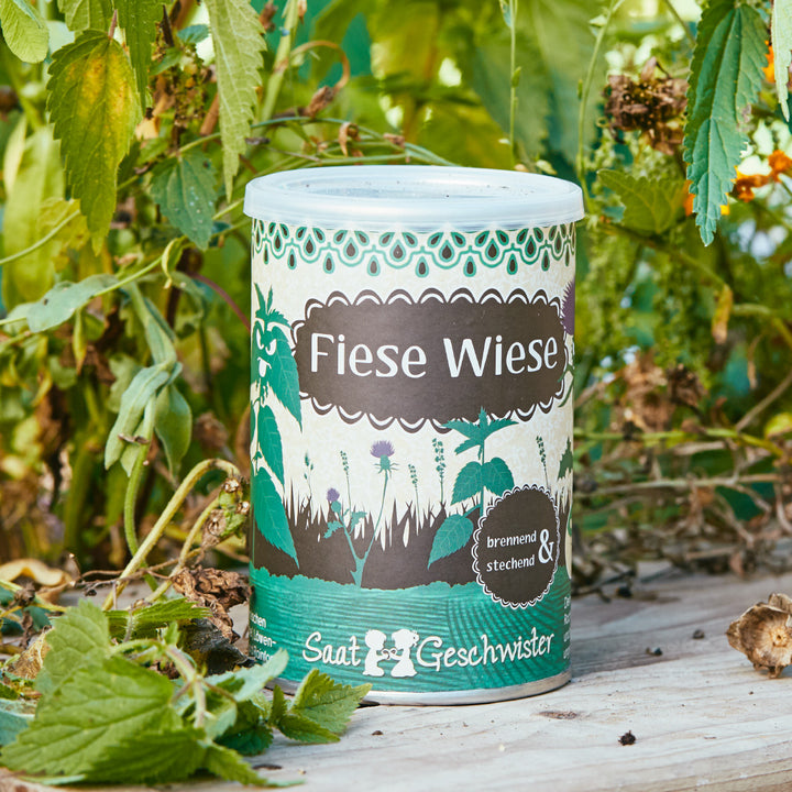  Eine Dose mit der Aufschrift "Fiese Wiese" von Saat & Geschwister in einem natürlichen Gartenambiente.