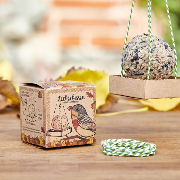 Vogelfutter-Knödel in einer dekorativen Schachtel mit Herbstlaub im Hintergrund.