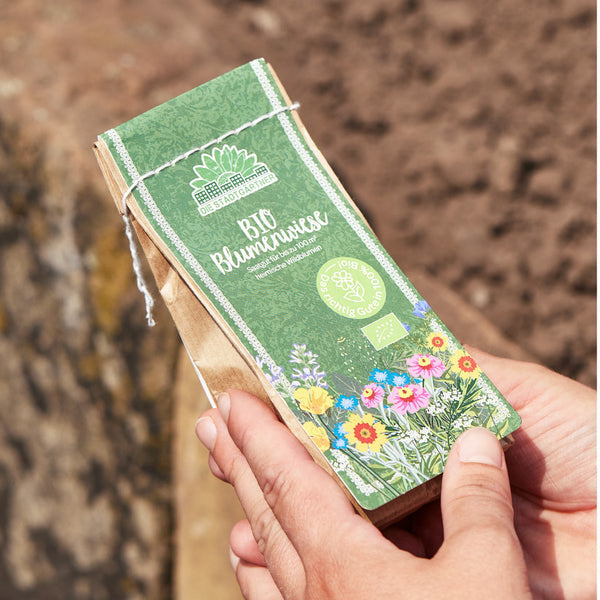 Hand hält eine Packung Bio-Blumensamen vor einem Hintergrund mit Erde.