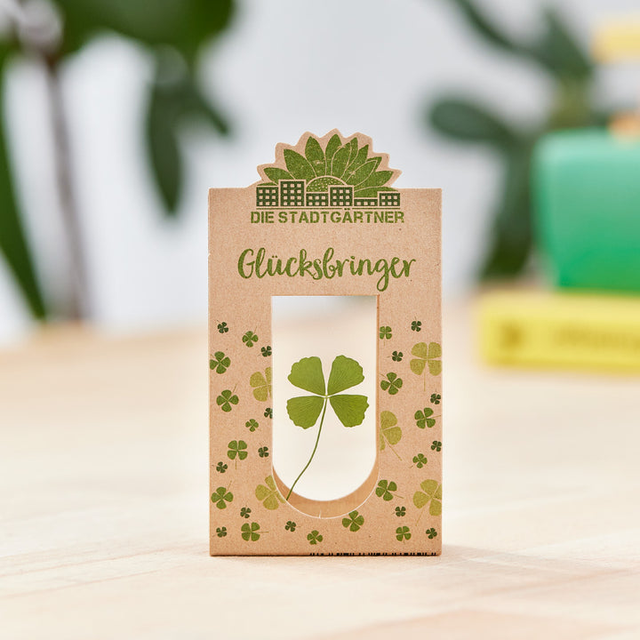 kleeblatt aufbewahren Glücksbringer | Echtes vierblättriges Kleeblatt als Geschenkidee