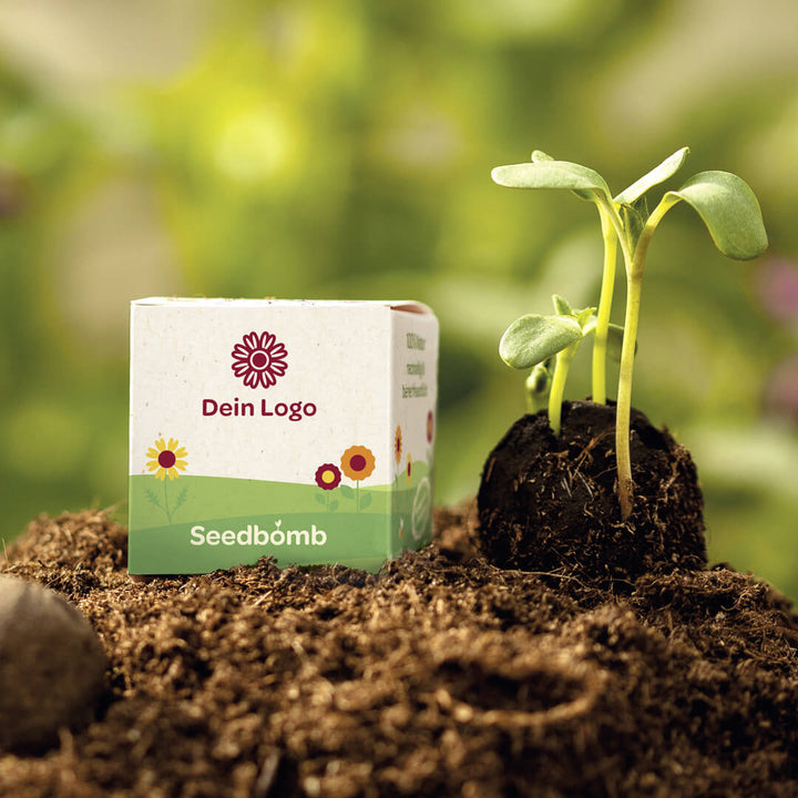 Seedbombe mit Aufschrift "Dein Logo" neben einer keimenden Pflanze in Erde.
