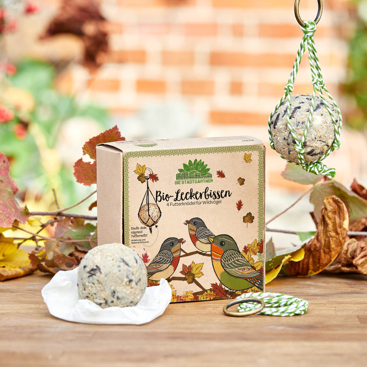 Verpackung für Bio-Futterknödel für Wildvögel mit Abbildung von Vögeln und Herbstlaub, neben einem Futterknödel auf einer Holzoberfläche.