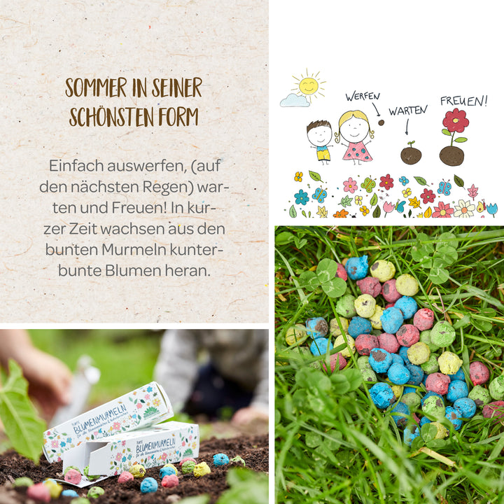 Collage von Blumensaatkugeln, darunter Text "Sommer in seiner schönsten Form", Illustration von Kindern die Saatkugeln pflanzen, und eine Hand, die eine Schachtel mit Saatkugeln in Erde legt.