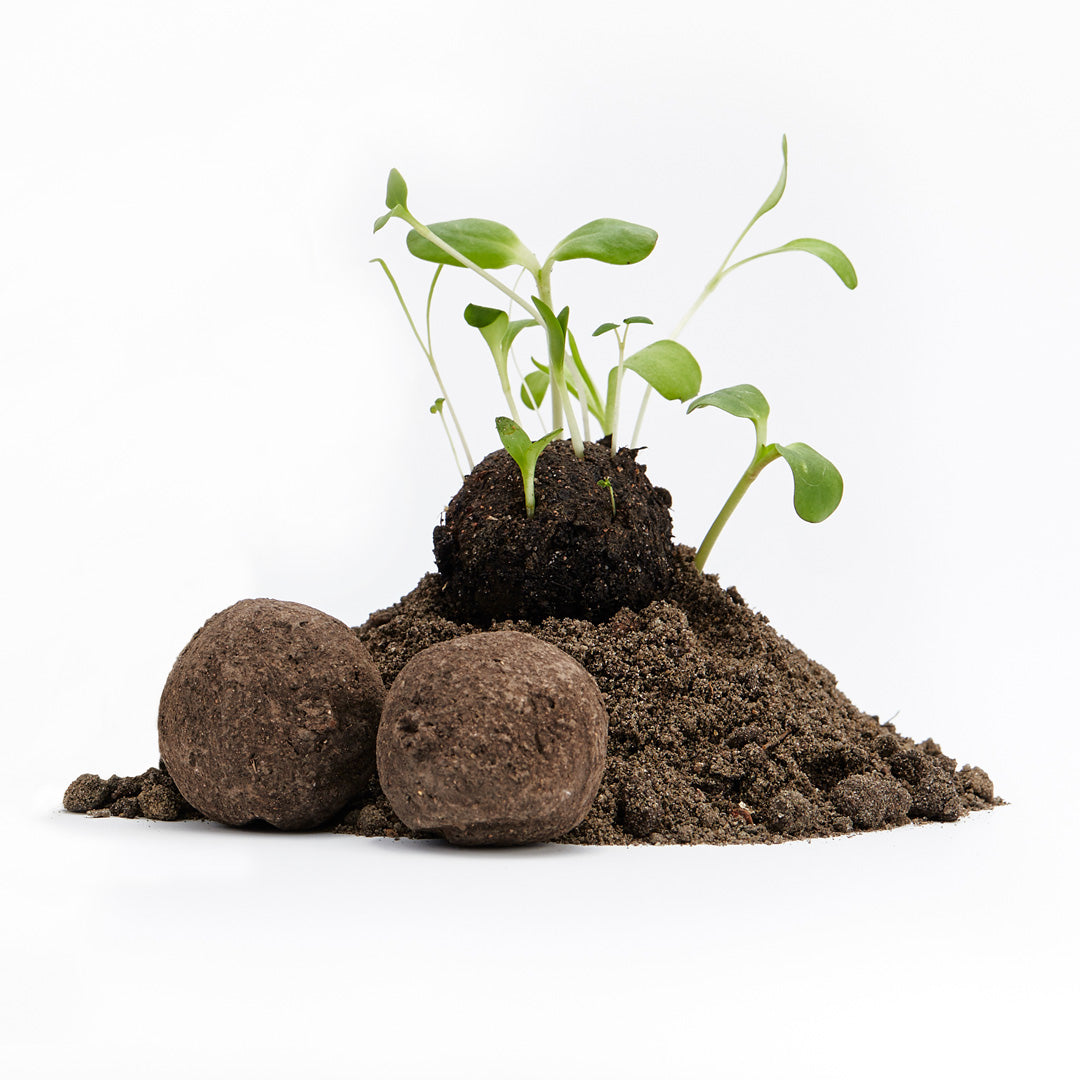 Ab 50 Wildblumen Samenbomben lose & unverpackt I Lose Seedbombs als Gastgeschenk Hochzeit I Saatbomben von Die Stadtgärtner