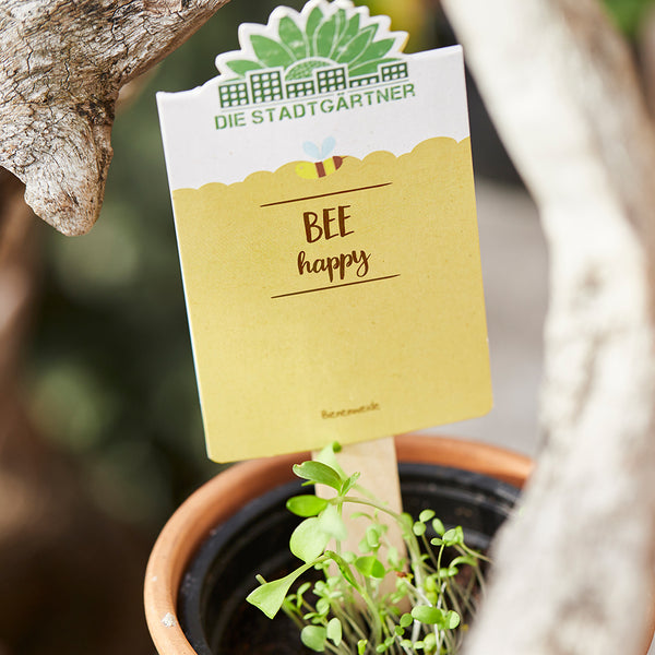 Gelbe Pflanzenstecketikett mit der Aufschrift "BEE happy" in einem Blumentopf mit jungen Pflanzen.