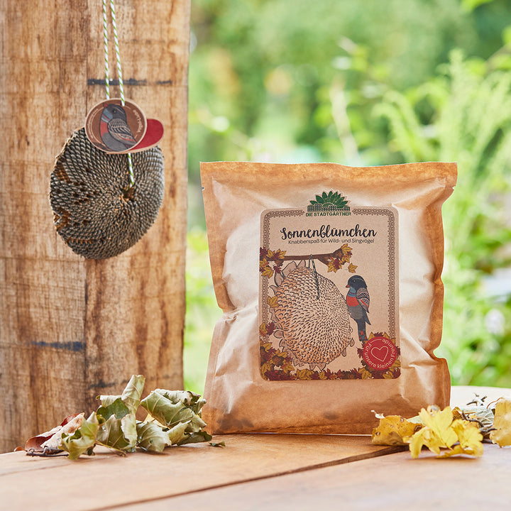 Verpackung von Sonnenblumenkernen für Vögel auf einem Holztisch im Freien, neben herbstlichem Laub und einem hängenden Vogelfutterspender.