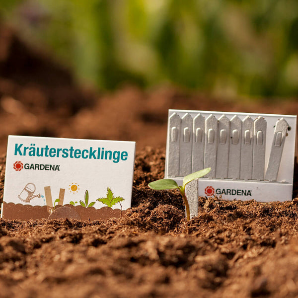 Streichholz-Garten, Steckling oder auch Pocket Garden