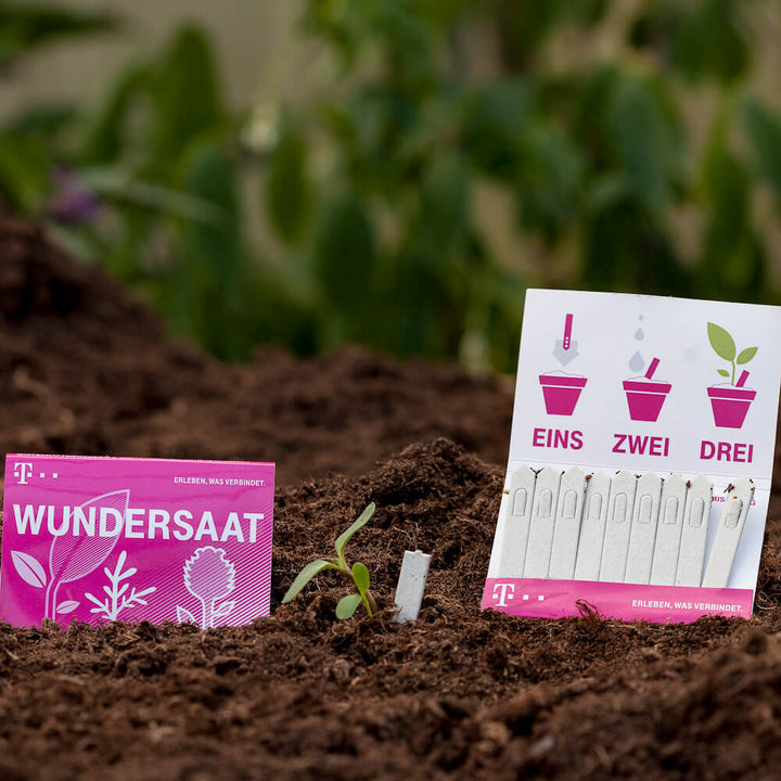 Wunder-Saatguttüte und Anleitungskarte von T-Mobile auf fruchtbarer Erde mit keimender Pflanze im Vordergrund.