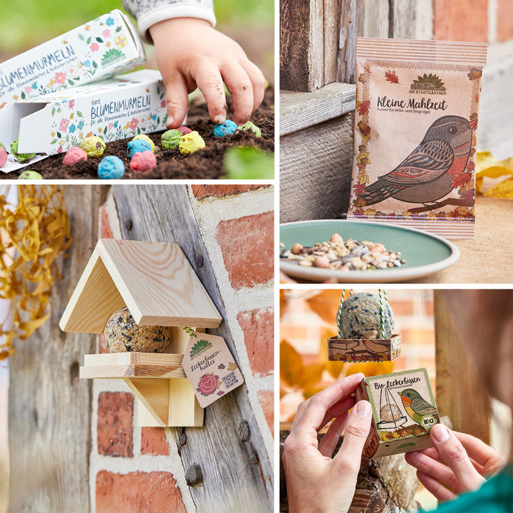 Vier Bilder mit Gartenthemen: Ein Kind pflanzt bunte Samenbomben, eine Vogelfutterschachtel an einer Ziegelwand, Vogelfuttersamen auf einem Teller und Hände, die ein Vogelfutterpaket halten.