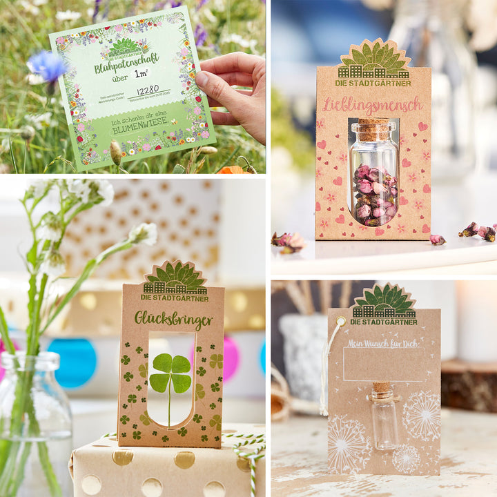 Collage verschiedener Geschenkkarten und Samenpakete von "Die Stadtgärtner" mit Blumen- und Kleeblattmotiven.