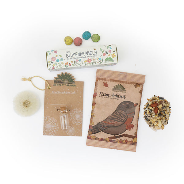 Verschiedene Geschenkartikel zum Thema Garten einschließlich Blumensamenkugeln, eine Karte mit Wunschfläschchen, Vogelfutter und einer Pusteblume.