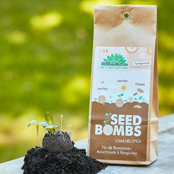 Packung mit 'Seed Bombs' für Sonnenblumen neben einem Haufen Erde mit keimenden Pflanzen im Hintergrund unscharfes Grün"