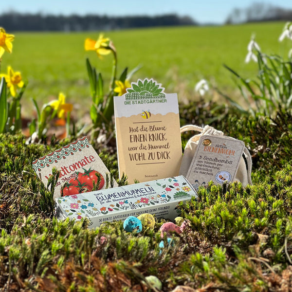 Saatgutpakete und Seedbombs auf einer Wiese mit Osterglocken im Hintergrund.
